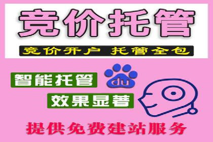 信息流代运营的实战经验分享与案例解析